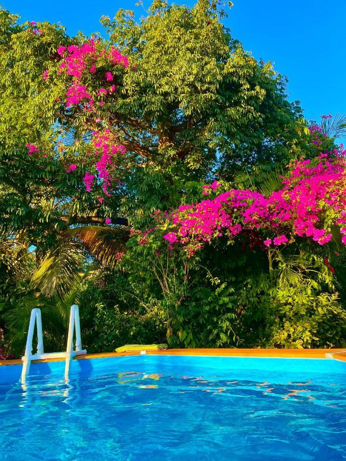 Villa Nature Caraibe Lodge, Vue Mer, Piscine Privee Deshaies Exterior photo