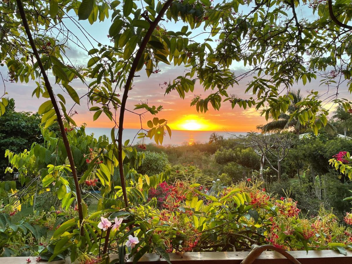 Villa Nature Caraibe Lodge, Vue Mer, Piscine Privee Deshaies Exterior photo