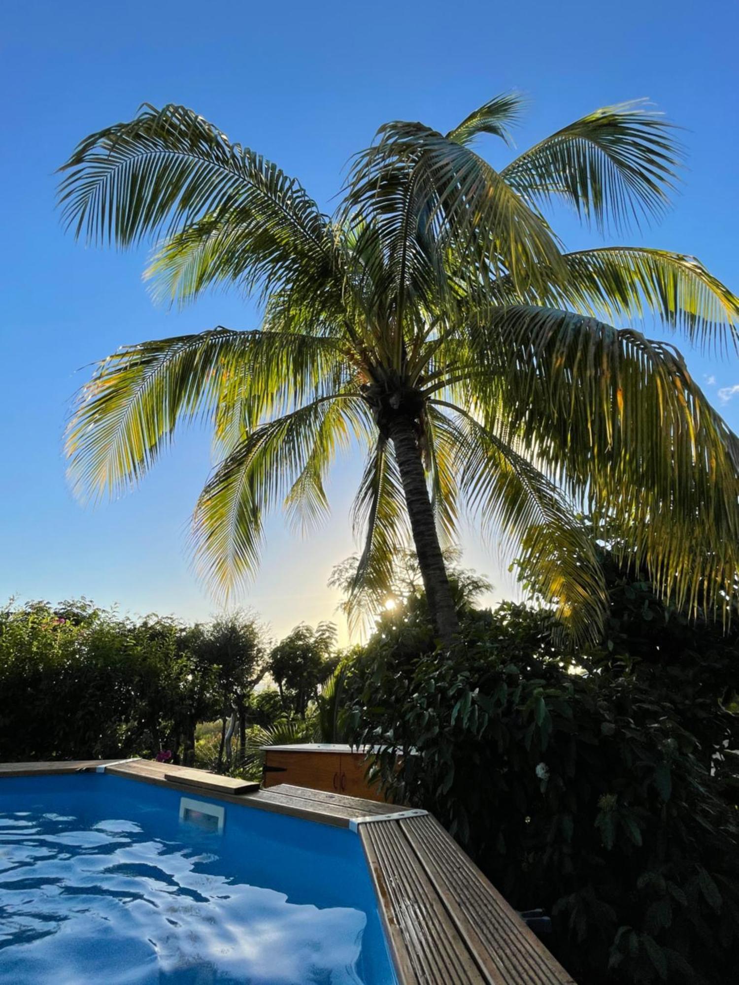 Villa Nature Caraibe Lodge, Vue Mer, Piscine Privee Deshaies Exterior photo